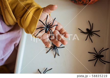 Hands of a child playing with black rubber spiders toys. Halloween october concept. 58835219
