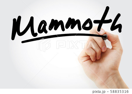 Hand writing Mammoth with marker 58835316