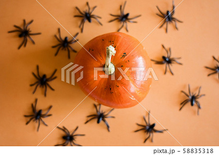 Halloween flat lay top view scene with pumpkins and spiders on orange background with copy space 58835318