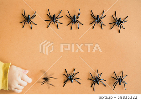 Halloween background decoration holiday concept. Minimal flat lay view of black spide. October Halloween background decoration holiday concept. Minimal flat lay view of black spide. October 58835322