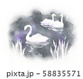 【イラスト】白鳥 58835571