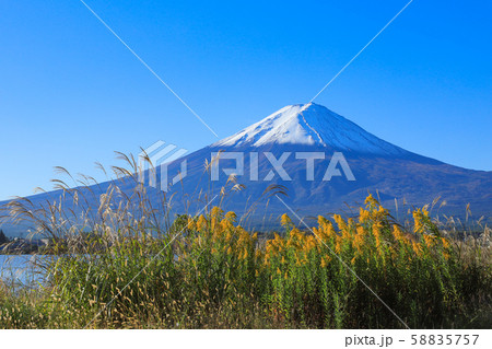 初冠雪の富士山 河口湖 初冠雪の富士山 河口湖 58835757
