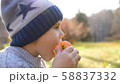 A child in the autumn Park on a picnic. He eats a juicy red Apple. Close up face 58837332