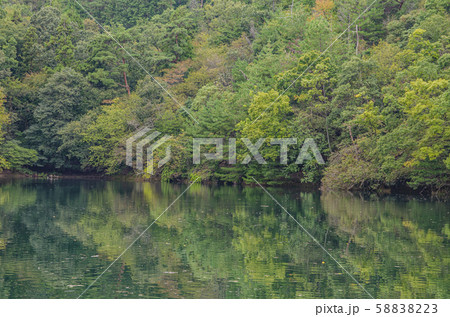 滋賀　音羽山登山道脇の池 58838223