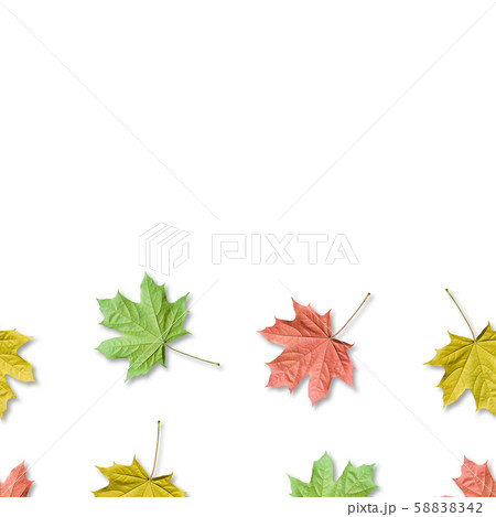 Fall bacground, colorful maple leaves seamless pattern Fall bacground, colorful maple leaves seamless pattern 58838342