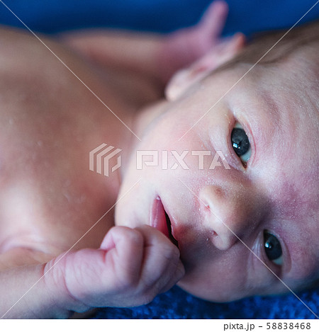 Lying on the bed sheet baby at home Lying on the bed sheet baby at home 58838468