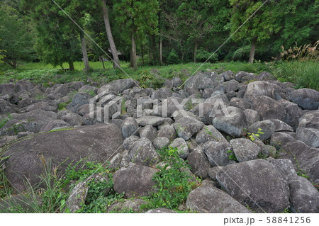 《広島県》久井の岩海 58841256
