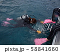 ダイビング 58841660