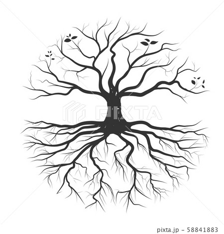 Tree roots 58841883