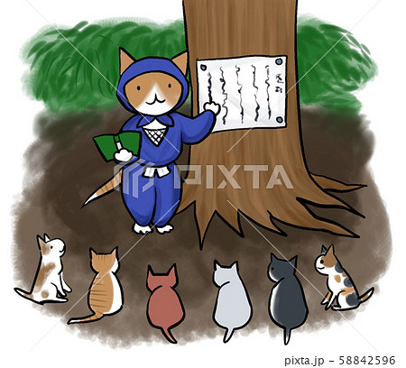 わかりやすく説明をする先生（ポイントチェック） 58842596