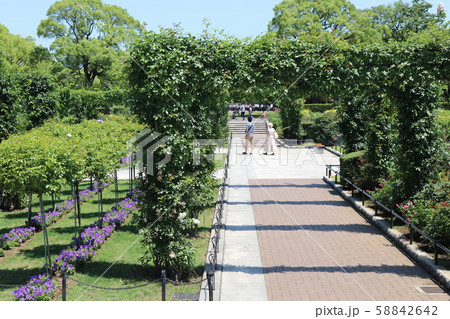 横浜港の山下公園 58842642