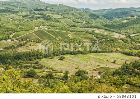 Vineyards landscapes in the morning in Albola in 58843101