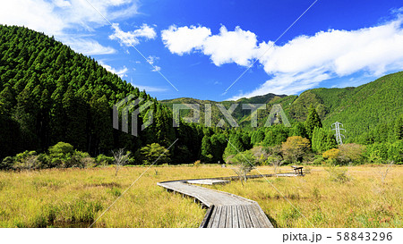 小田貫湿原（秋） 58843296