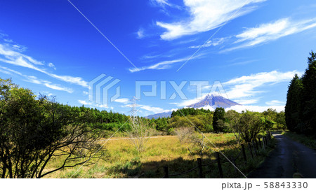 小田貫湿原（秋） 58843330