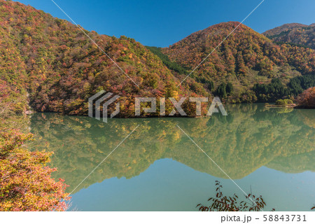 飛越峡合掌ラインの紅葉 飛越峡合掌ラインの紅葉 58843731