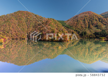 飛越峡合掌ラインの紅葉 飛越峡合掌ラインの紅葉 58843732