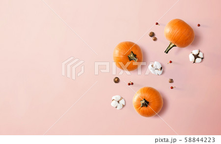 Autumn theme with orange pumpkins 58844223