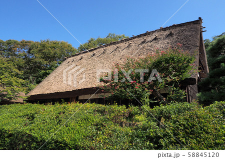 東山植物園点景 58845120