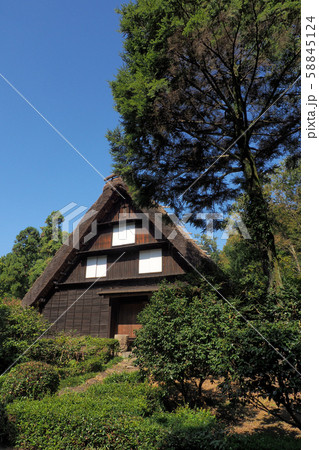 東山植物園点景 58845124