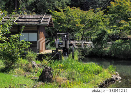 東山植物園点景 58845215