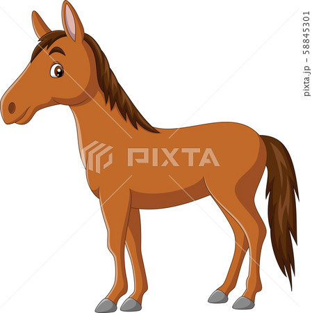 Cartoon happy horse on white background Cartoon happy horse on white background 58845301