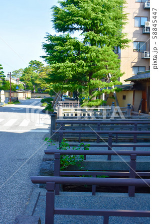 長町武家屋敷界隈 大野庄用水 長町武家屋敷界隈 大野庄用水 58845447