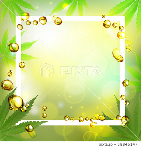 Cannabis Leaves Or Marijauna Oil Medical のイラスト素材