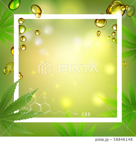 Cannabis Leaves Or Marijauna Oil Medical のイラスト素材