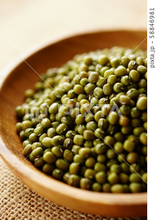 ムング豆 緑豆 ムング豆 緑豆 58846981