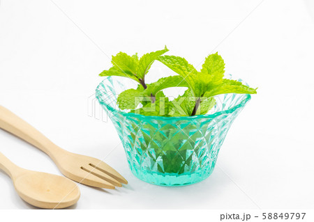 fresh peppermint on white fresh peppermint on white 58849797