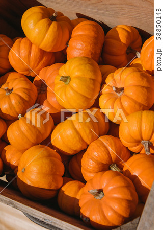 Small pumpkins in wood box on a farmer market Small pumpkins in wood box on a farmer market 58850143