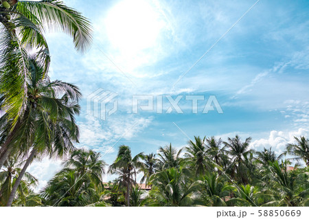 古都フエのリゾート ベトナム 58850669