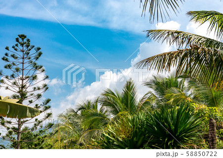 古都フエのリゾート ベトナム 古都フエのリゾート ベトナム 58850722