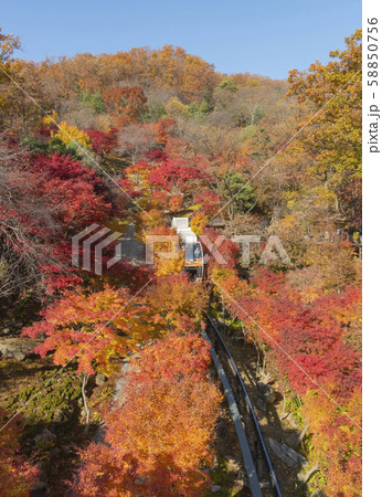 秋 紅葉 景色 58850756