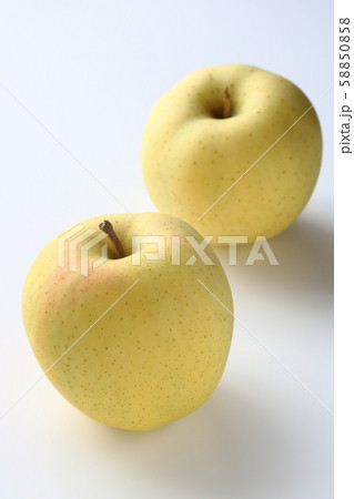 ときリンゴ 58850858