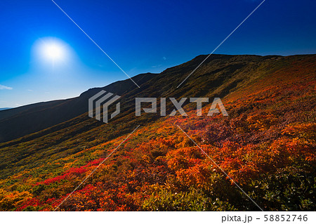栗駒山紅葉神の絨毯 58852746