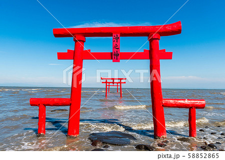 大魚神社の海中鳥居 58852865