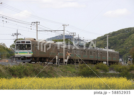 秩父鉄道7500系とカラシナ畑 58852935