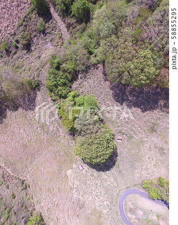 山あいの牧草地（埼玉県秩父郡小鹿野町伊豆沢） 58855295