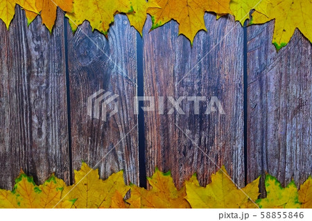 Autumn background with colored leaves on wood Autumn background with colored leaves on wood 58855846