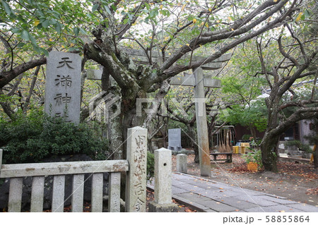 御手洗地区 御手洗地区 58855864