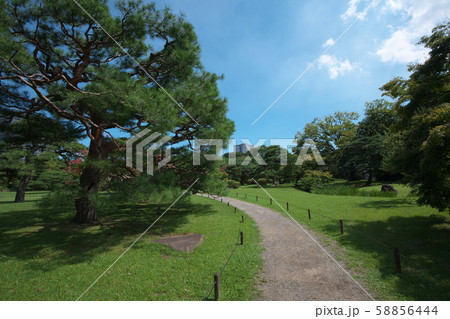 浜離宮 日本庭園 オフィスビル 浜離宮 日本庭園 オフィスビル 58856444