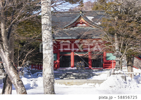 冬の赤城神社 58856725