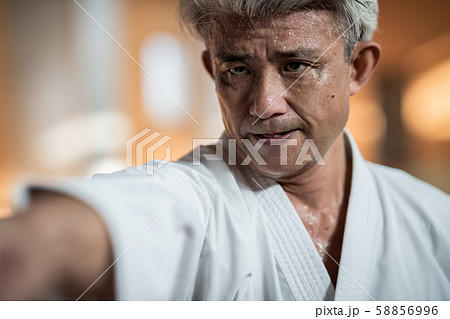 karateka karateka 58856996