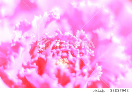 抽象的背景素材 58857948