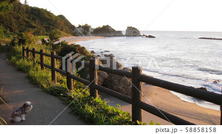 日本海沿いの遊歩道から海を眺める犬 日本海沿いの遊歩道から海を眺める犬 58858158