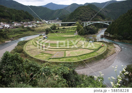 あらぎ島 58858228