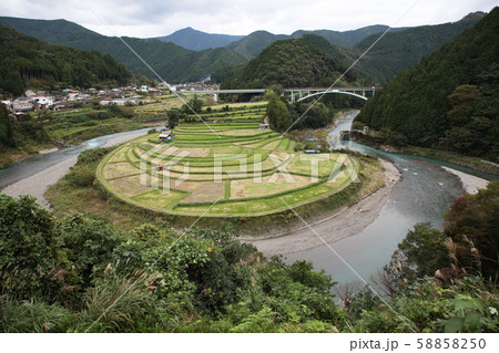 あらぎ島 58858250