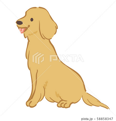 ゴールデンレトリバー 犬 イラストのイラスト素材 5547