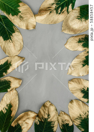 Creative nature background. Gold and green painted 58858457